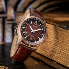 Original CITIZEN Watch Men's Watch Quartz Eco-Drive Sunstar Dual