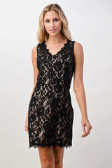 Mini Lace Dress Two Tone Lace V-Neck Dress