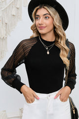 Black Basic Crew Neck Dressy Striped Mesh Long Sleeve Top