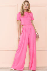 Strawberry Pink Plain Slim Fit Crop Top And Wide Leg Pants Set