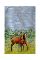 Betsy Drake BT057 Two Horses Beach Towel - 30 x 50 in.