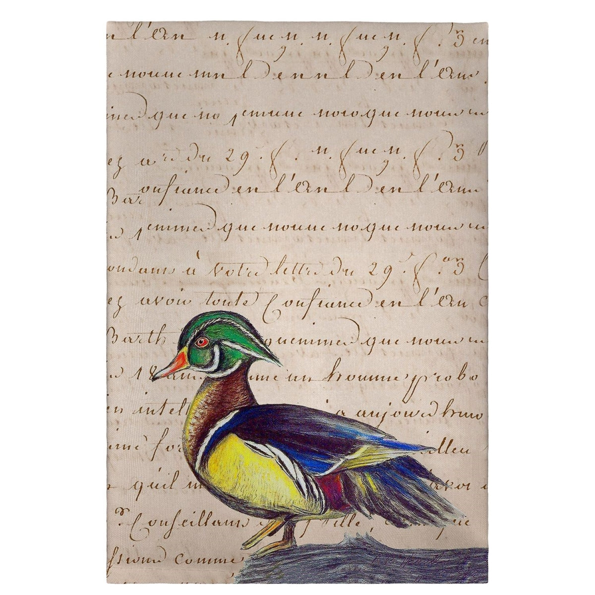 Betsy Drake GT145B M Wood Duck Script Guest Towel - 20 x 20 in.