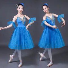 Adult White Swan Lake Ballet Dancing Dress Women Ballroom Ballet