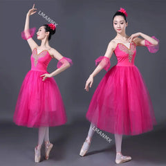 Adult White Swan Lake Ballet Dancing Dress Women Ballroom Ballet