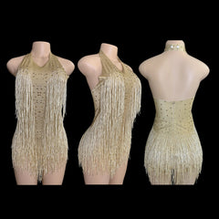 Sparkly Rhinestones Fringe Bodysuit WomenVightclub Party Dance Costume