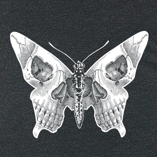 Butterfly skull