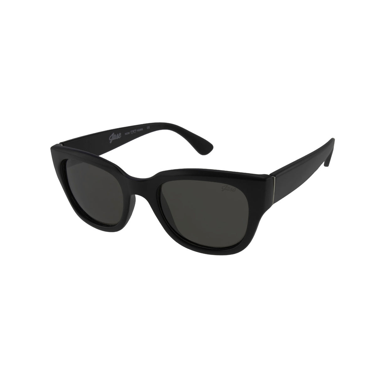 Jase New York Delano Sunglasses in Matte Black