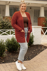 Chestnut Weave Knit Side Pockets Plus Size Cardigan