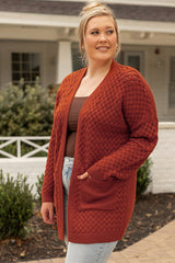 Chestnut Weave Knit Side Pockets Plus Size Cardigan