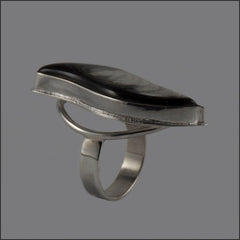 Silver Ring with Horn Inserted