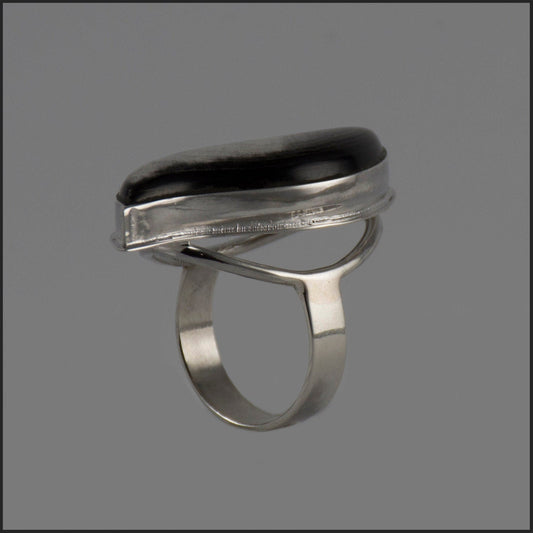 Silver Ring with Horn Inserted