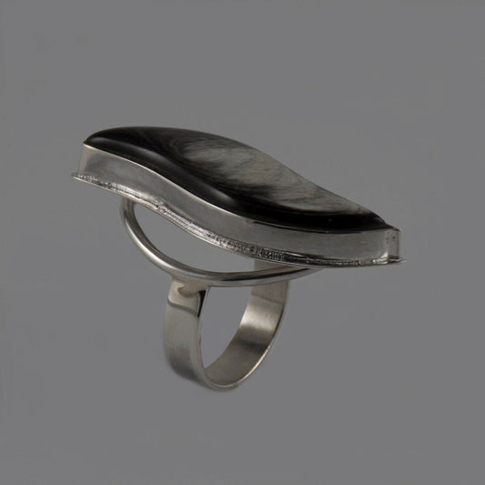 Silver Ring with Horn Inserted